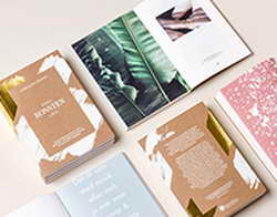 Фондовый рынок, Daily history за 14 ноября 2025 г.